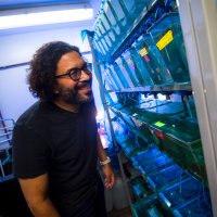 Amro Hamdoun (@hamdounlab) 's Twitter Profile Photo Amro Hamdoun (@hamdounlab) 's Twitter Profile Photo
