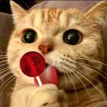 GajaGlizz's profile picture. 