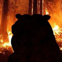 nomnom (@manjay16822543) 's Twitter Profile Photo