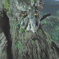 treebeardsuncle (@treebeardsuncl) 's Twitter Profile