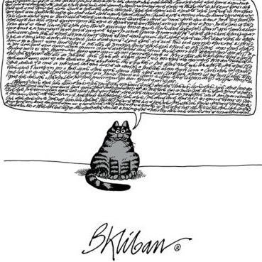 KamalAfifi5's profile picture. noty is to nice