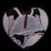 包 子 (@baozi_0000) Twitter profile photo 包 子 (@baozi_0000) Twitter profile photo