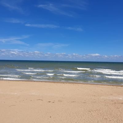 CedricAndree's profile picture. 