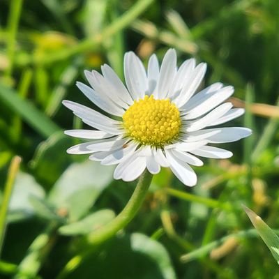 @OT_CarersUnite