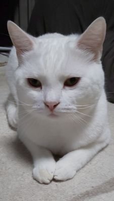 L7qy5g2oIDxQ3Pt's profile picture. 🌾県    アラフィフM