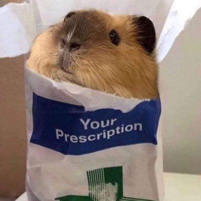 fr0gIet's profile picture. she/her @syrupyzweet