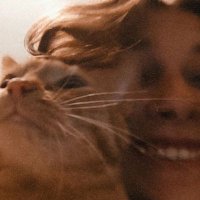 Marie (Taylor's version) (@ravioliuitblik) 's Twitter Profile Photo