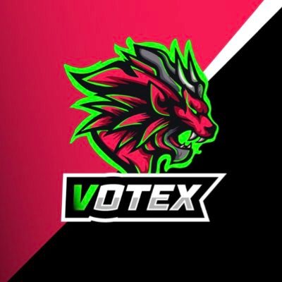 xVotexTV's profile picture. 