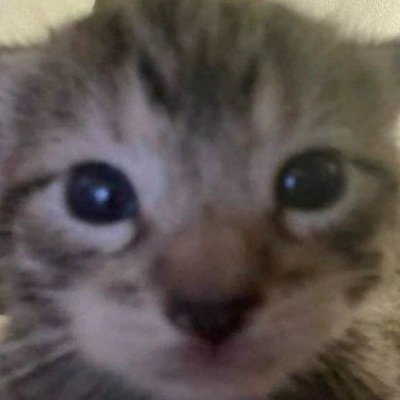 brian45253678's profile picture. hehe