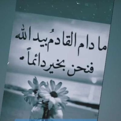 ashqalw63998323's profile picture. اغنم شبابك قبل هرمك