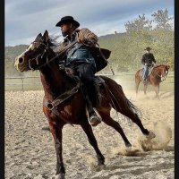 Bechir Sylvain (@bechirsylvain) 's Twitter Profile