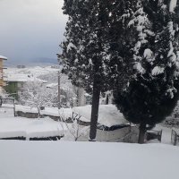 Mancınık (@mancnk78) 's Twitter Profile