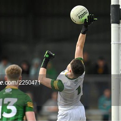 HarryHogan_1's profile picture. 🔰