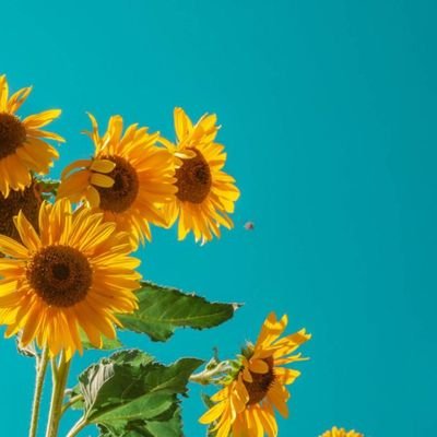 mugisha_rebeca's profile picture. Just got here 🌼☺️
Calmness and simplicity!