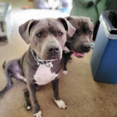 Philly4167's profile picture. All Democrats are FRAUDS!
Not here to gain followers!