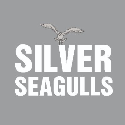 SilverSeagulls is a culture shift.A clean collection of 2000 diverse seagulls building a virtuous community. 
https://t.co/5uQIlmzc6D