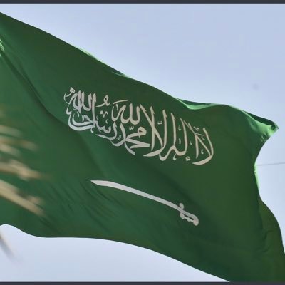 ALNARJS99's profile picture. 