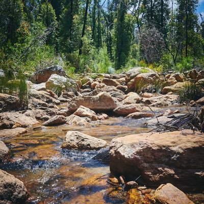 mycommentary79's profile picture. Commenting on the current lunacy and mass formation.