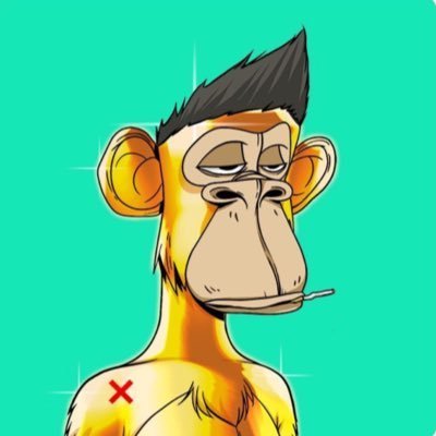 NisaSabir1's profile picture. 