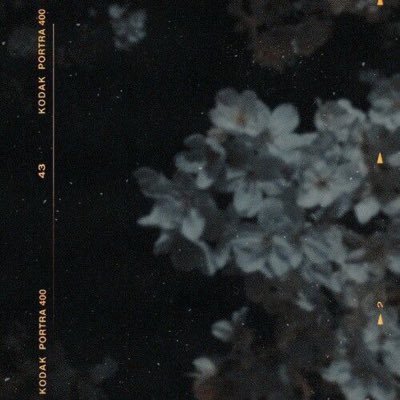 OurouhJ's profile picture. 💜💜