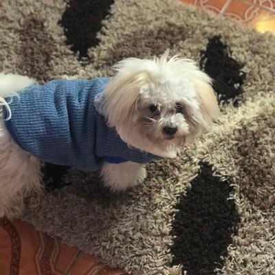 Annielance71's profile picture.