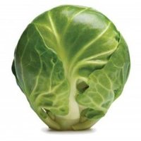 Brussel Sprouts Stew (@sproutstew1972) 's Twitter Profile