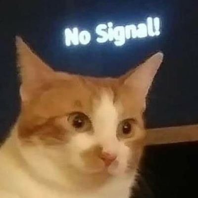 What the hell are you doing looking at this boring profile?