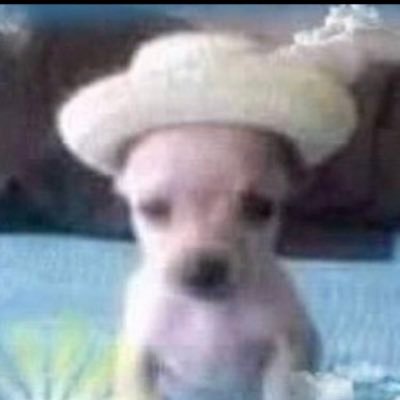 nemo_itz's profile picture. sorry not sorry