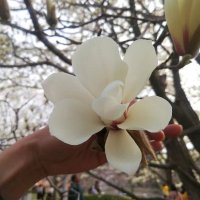 @meilidehai "❤️ Memecoin"꧁IP꧂ 🔮🧙 (@meilidehai) Twitter profile photo