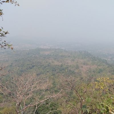 Dharam9779's profile picture. 