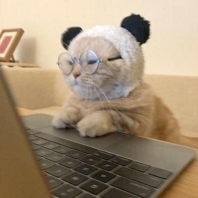PaoStalker's profile picture. 