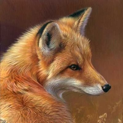 Alisonさんのプロフィール画像