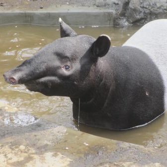 根はガッツリ腐っているが素敵な夢を見つけては食って生きている↑25の成人済みのニンゲン。本誌勢。月曜日はうるさくなります。ホにハマったもののそのあとtdrkに堕ちて今は炎司に拗れている。7を推しているはずが5が気になって最終的にsummer…推しは大体死ぬ。やめろ。