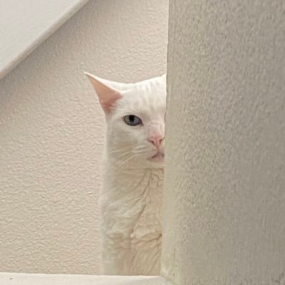 Jay93497870's profile picture. Trader