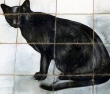 gatopretocaffe's profile picture. 