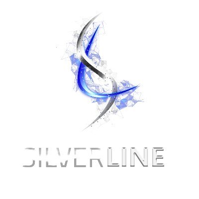 SilverLine Token will be released in the Binance Smart Chain at the event of the Presale. Grab the SilverLine Token at just $0.0013