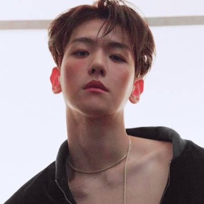 I love EXO and support them as their number one FAN💗🥰. International EXO-L. BAEKHYUN have always been and forever will be my BIAS🥰.