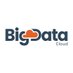 Big Data Cloud (@BigDataCloud) Twitter profile photo