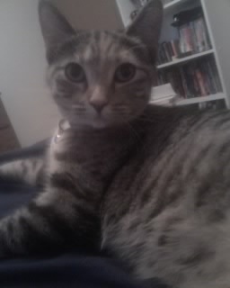 Mystictears7694's profile picture. 