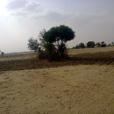 Ayaz1981Khan's profile picture. life is best