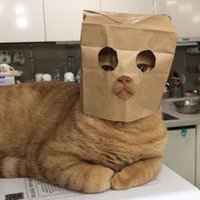 ᵗᶦⁿʸ (@__ugliness__) 's Twitter Profile