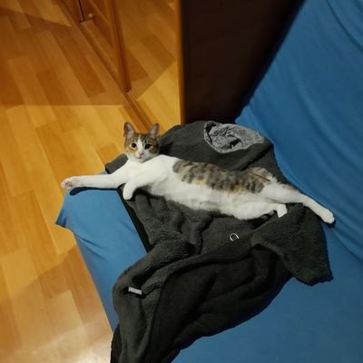 lord_pumka's profile picture. 