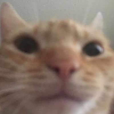 Brtus3's profile picture. 