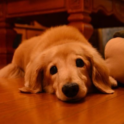 藤村 兵悟さんのプロフィール画像