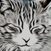 きーの (@keynotecat) Twitter profile photo きーの (@keynotecat) Twitter profile photo