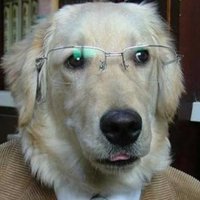 Dario Macchio (@dariomacchio) 's Twitter Profile