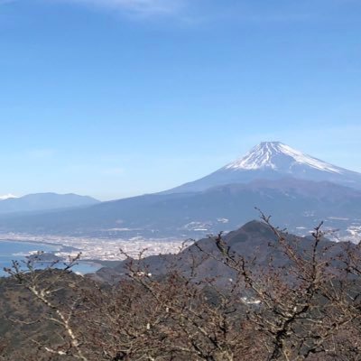 ラブライブ。ホロライブ。