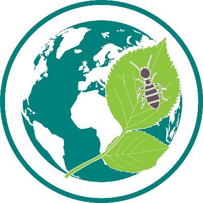 The International Plant Sentinel Network works with Botanic Gardens and Arboreta to provide an early warning system of new and emerging pest and pathogen risks