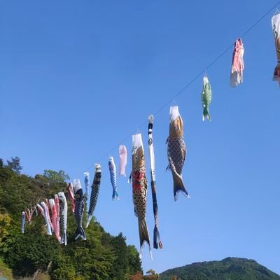 19男
最近ヴァロラントハマってます。
ブロンズ帯の初心者です。
セージ、ソーヴァ、チェンバーならちょっと使えます!