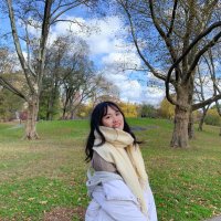 Yingying Pan(@pan_yying) 's Twitter Profile Photo